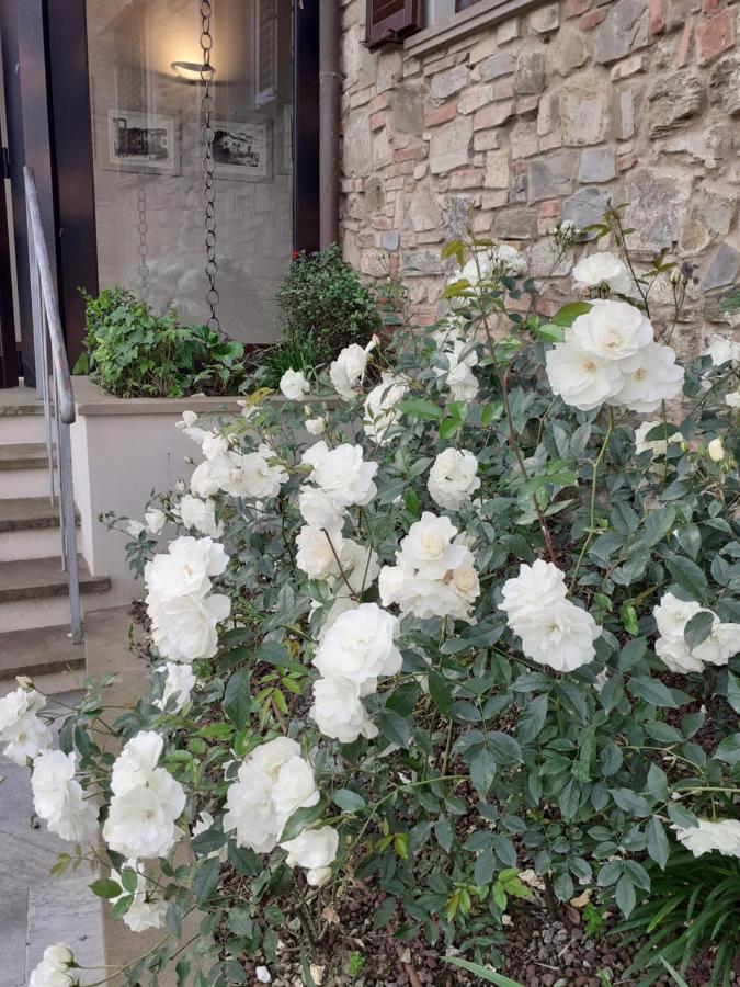 Hotel Le Macine มอนตาโยเน ภายนอก รูปภาพ